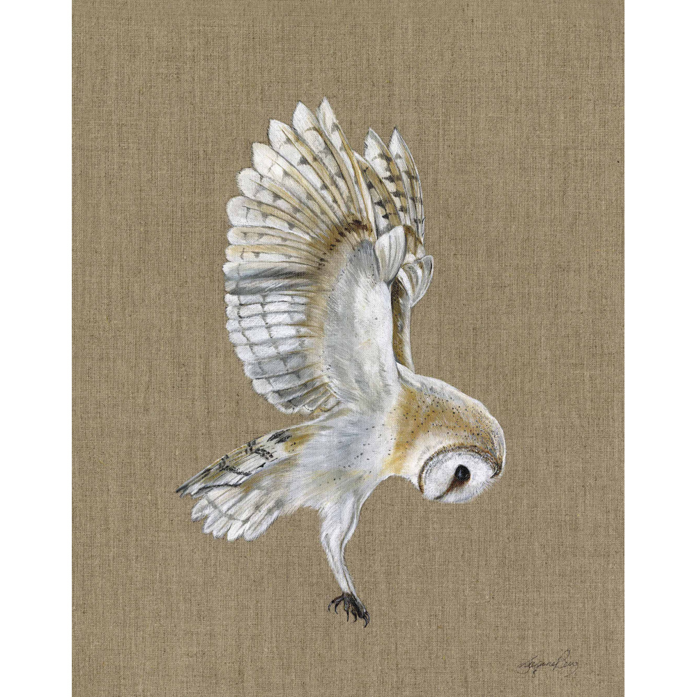 birds-barn-owl-moonstone-canvas-website_1618707847