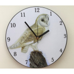 clock-birds-barn-owl