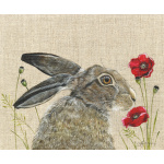 hare-poppy-canvas_website_1403206165