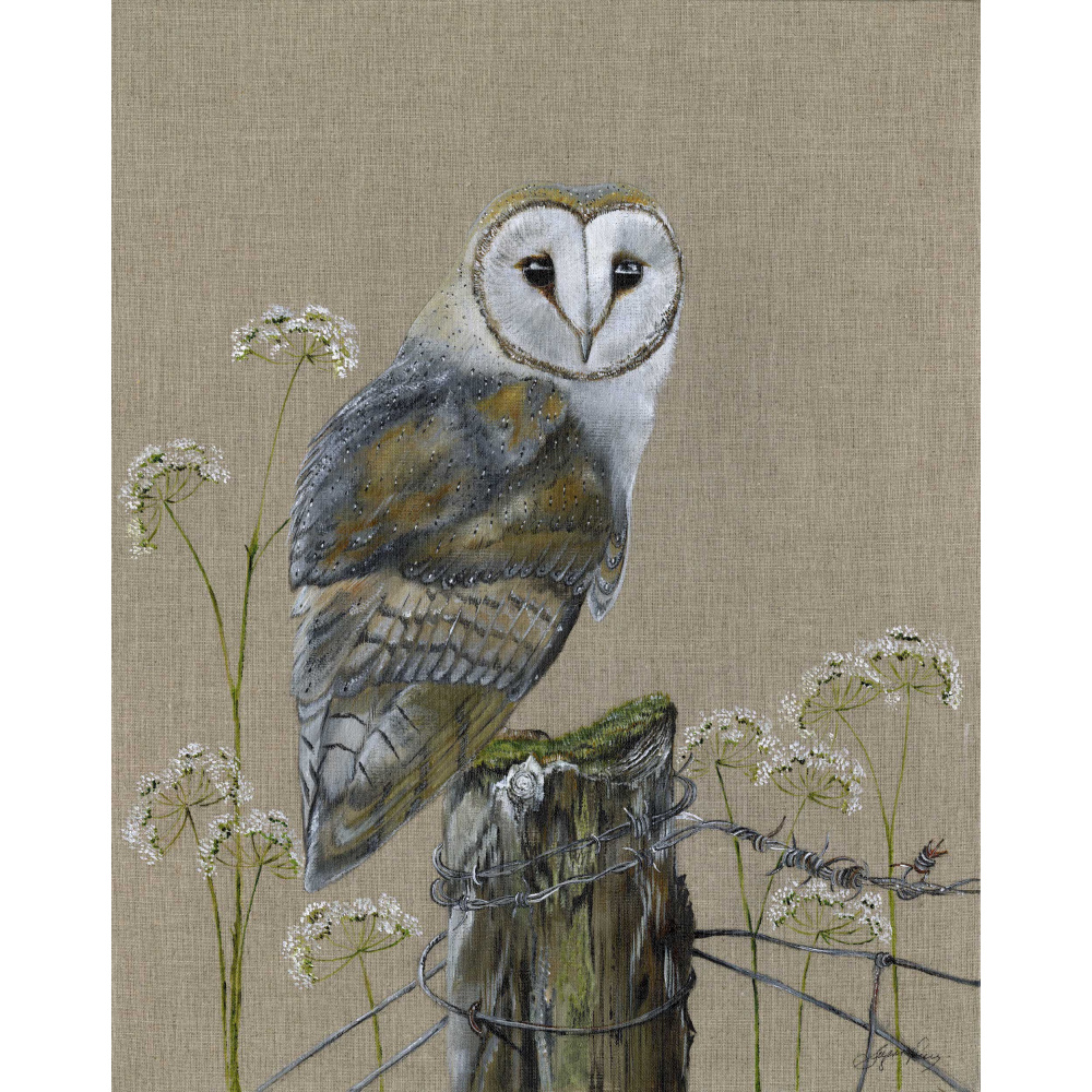 barn-owl-echo-canvas_website-334