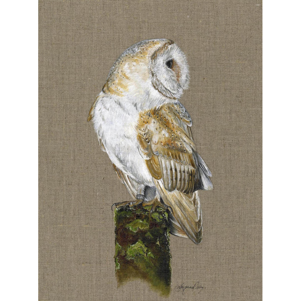 birds-barn-owl-oberon-canvas_website_1975078849