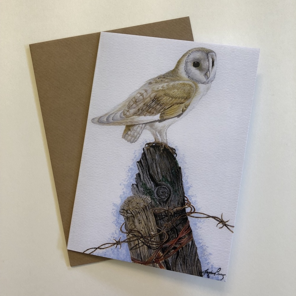 birds-cards-barn-owl-7x5