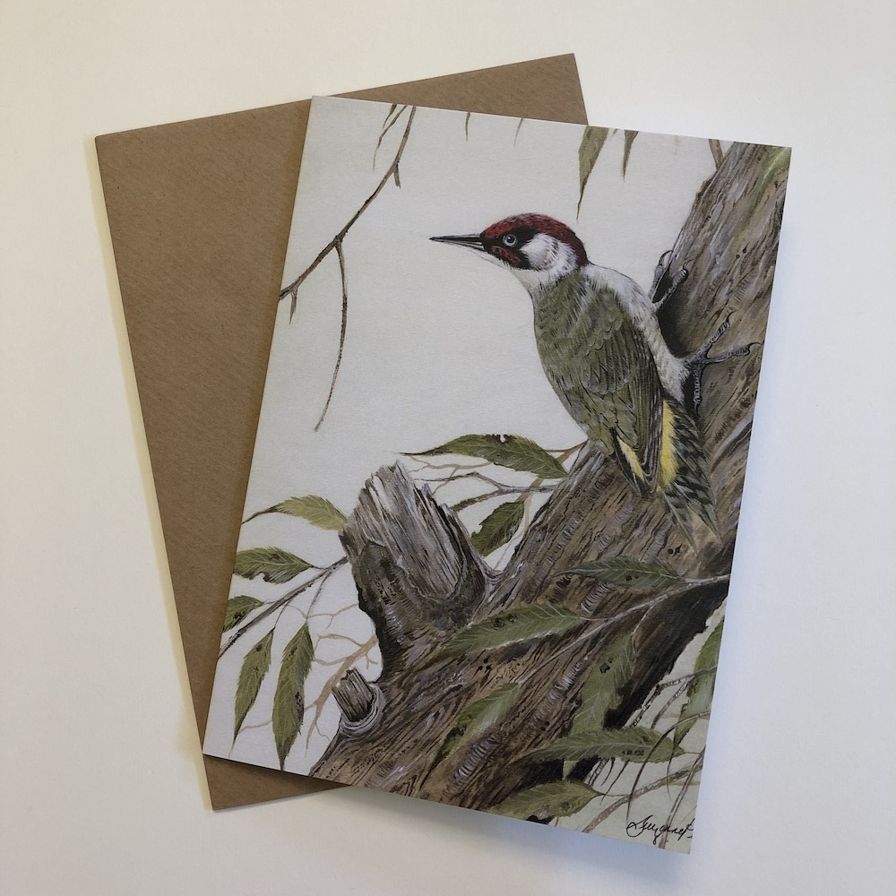 birds-cards-green-woodpecker-rainbird-7x5