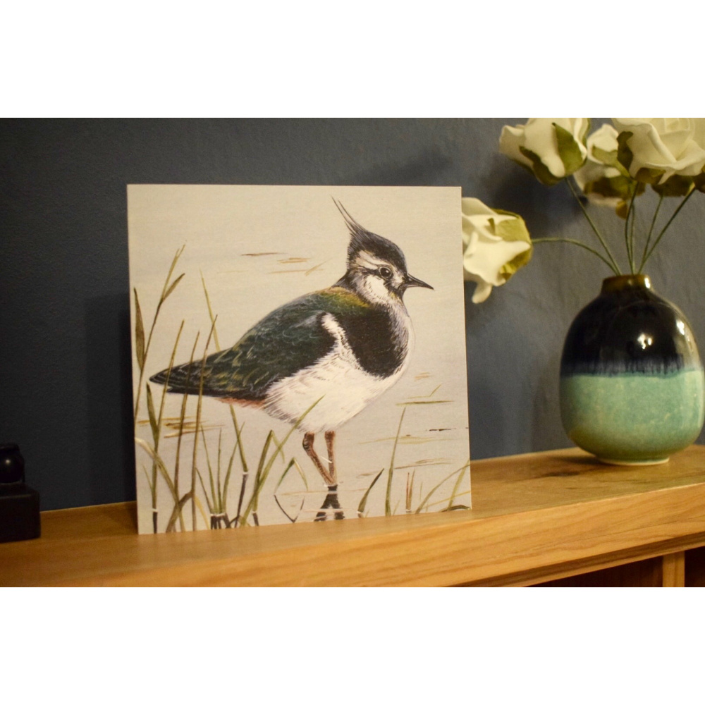 birds-cards-lapwing-6x6