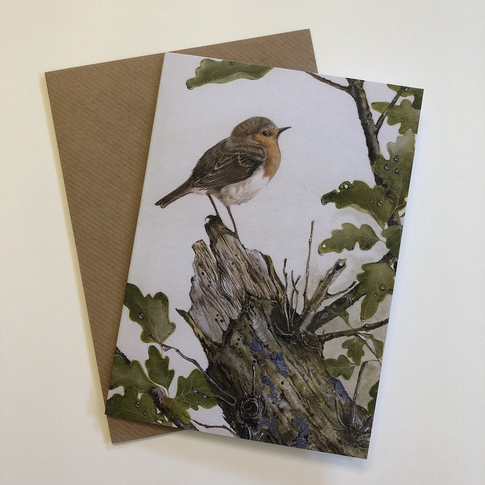 birds-cards-robin-robins-rest-7x5