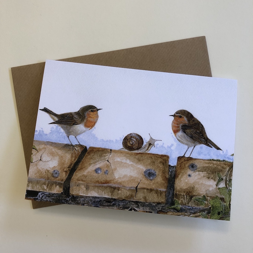 birds-cards-robin-your-or-mine-7x5