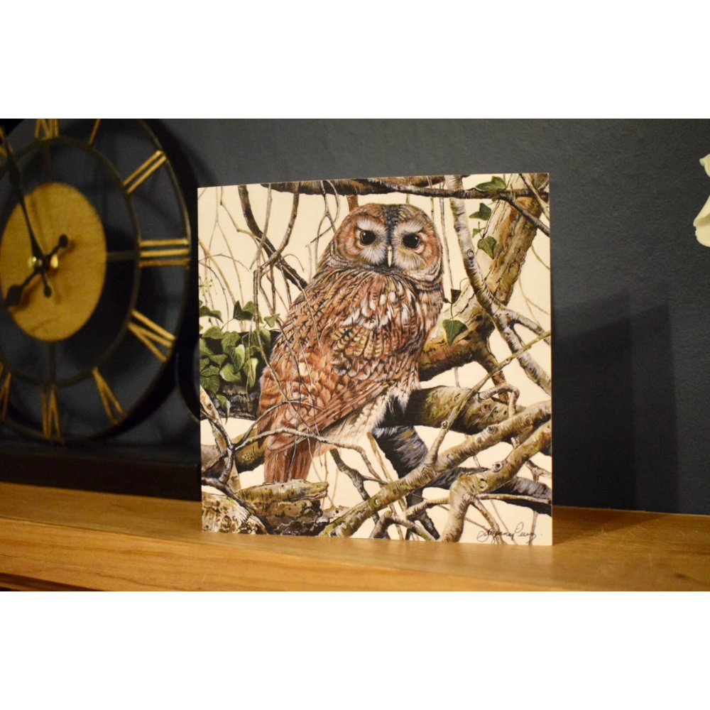 birds-cards-tawny-owl-6x6
