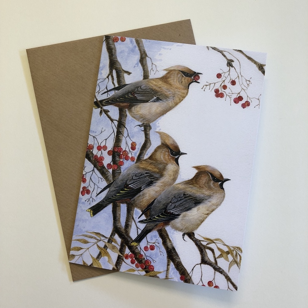 birds-cards-waxwings-earful-7x5