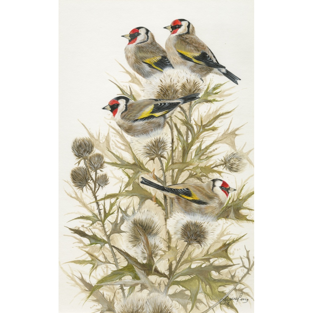 birds-fine-art-prints-goldfinches-charm-of-suzanne_perry-ary-183