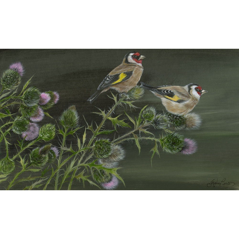 birds-fine-art-prints-goldfinches-thistles-charm-suzanne-perry-176