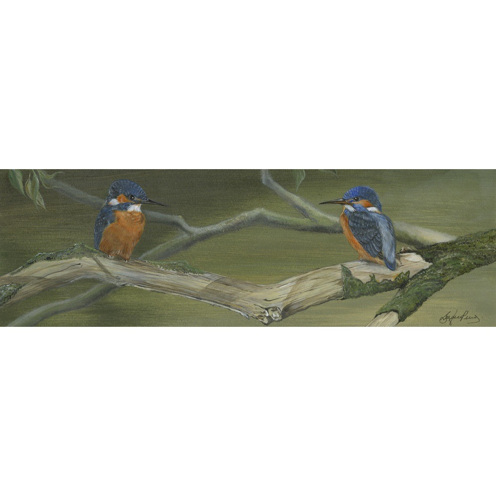 birds-fine-art-prints-kingfisher-branching-out-suzanne-perry-art-167