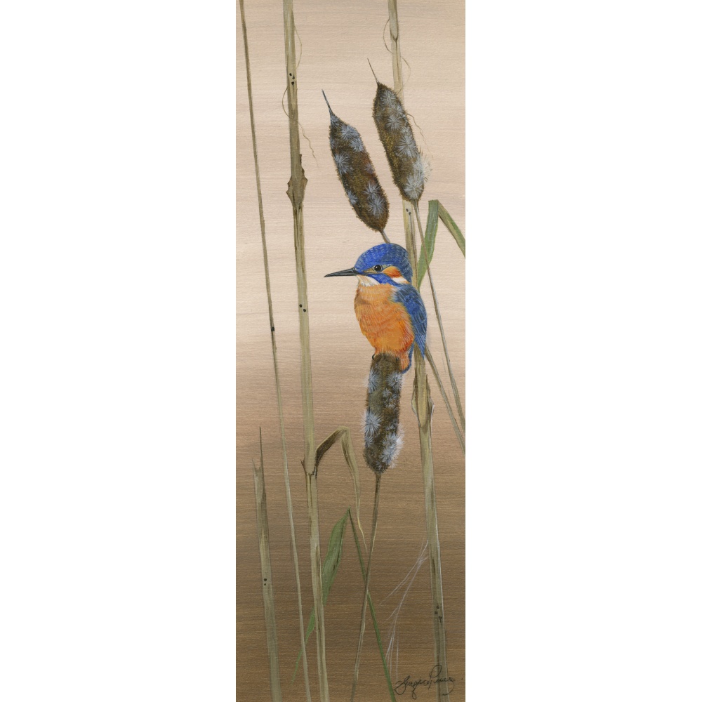 birds-fine-art-prints-kingfisher-sunrise-suzanne-perry-art-137