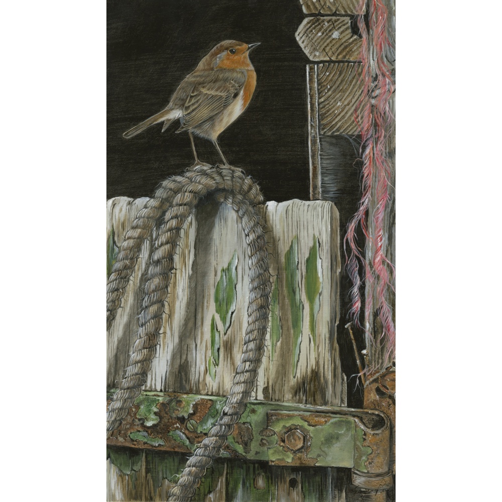 birds-fine-art-prints-robin-standing-proud-suzanne-perry-art-197