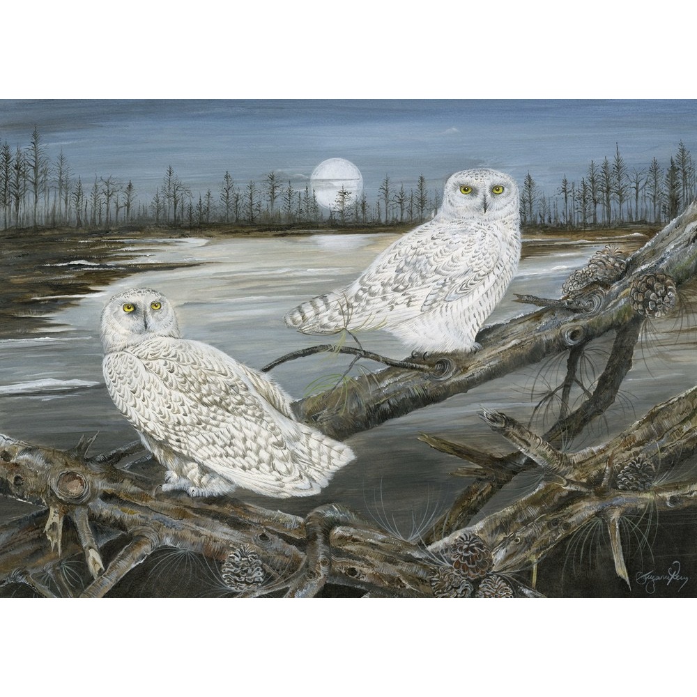 birds-fine-art-prints-snowy-owls-suzanne-perry-art-179_1098186991