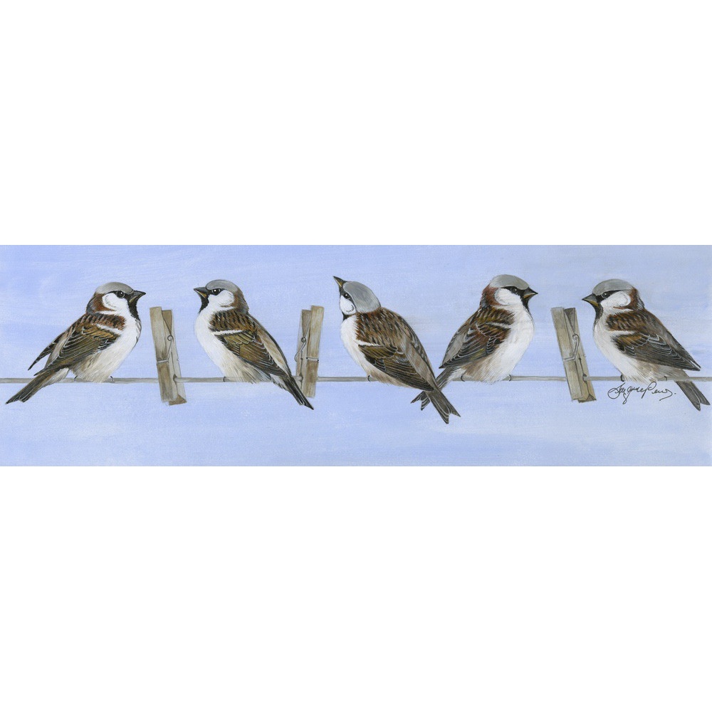 birds-fine-art-prints-sparrows-five-suzanne-perry-art-178