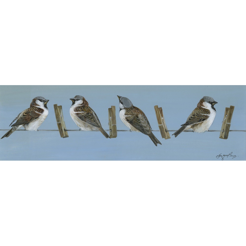 birds-fine-art-prints-sparrows-quartet-suzanne-perry-art-165