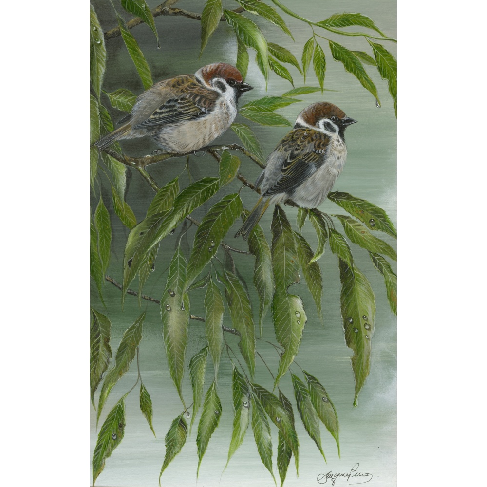 birds-fine-art-prints-tree-sparrows-suzanne-perry-art-190