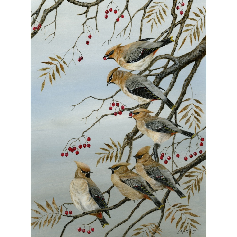 birds-fine-art-prints-waxwings-bohemian-rhapsody-suzanne-perry-art-250