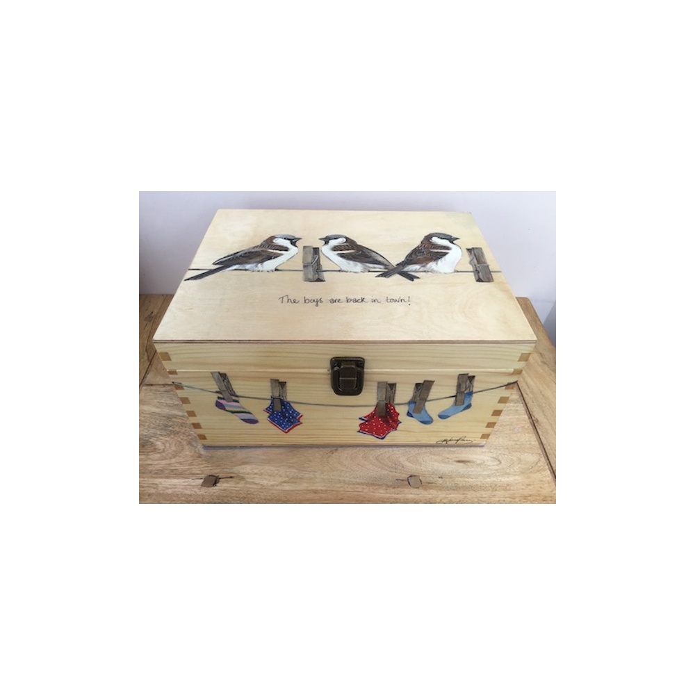 birds-keepsake-box-gifts-sparrows-boys-are-back-in-town-washing