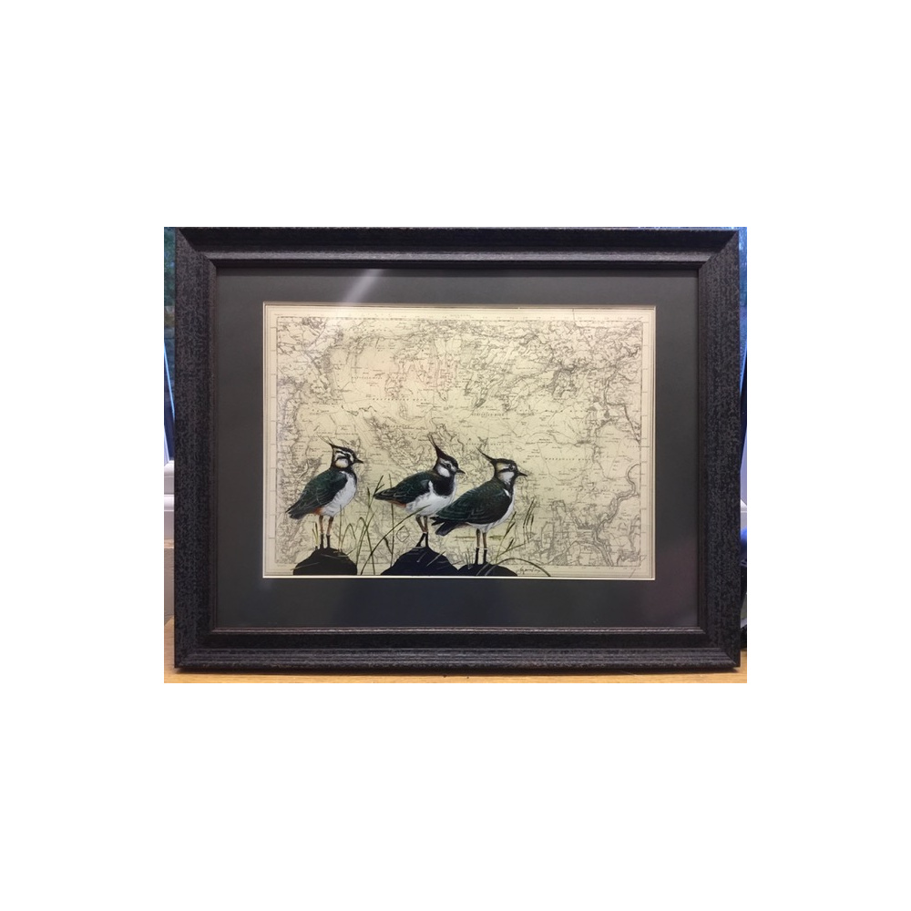 birds-lapwings-map-yorkshire-suzanne-perry-art-m2