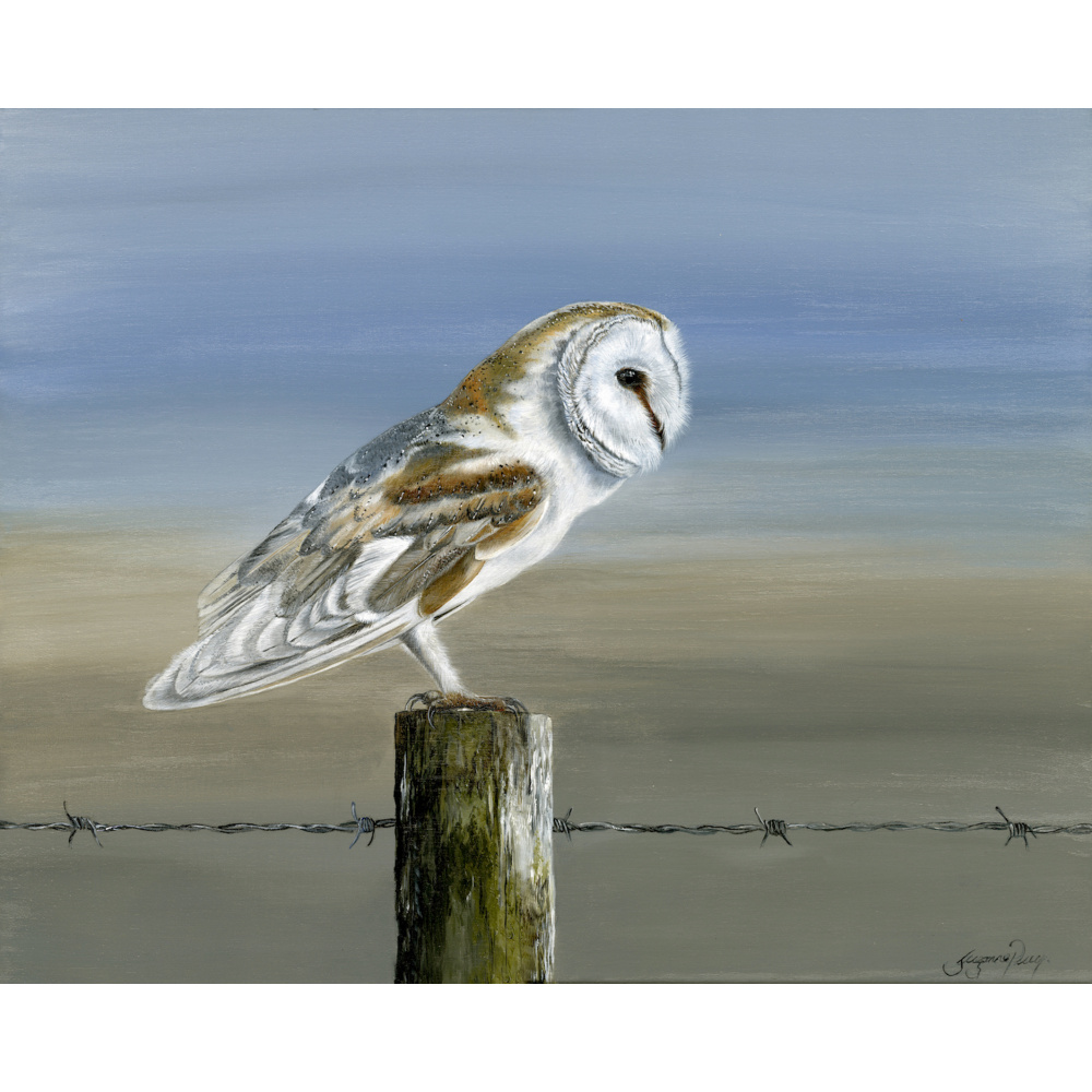 birds-of-prey-barn-owl-barbed-beauty-s-p-art-408_copy