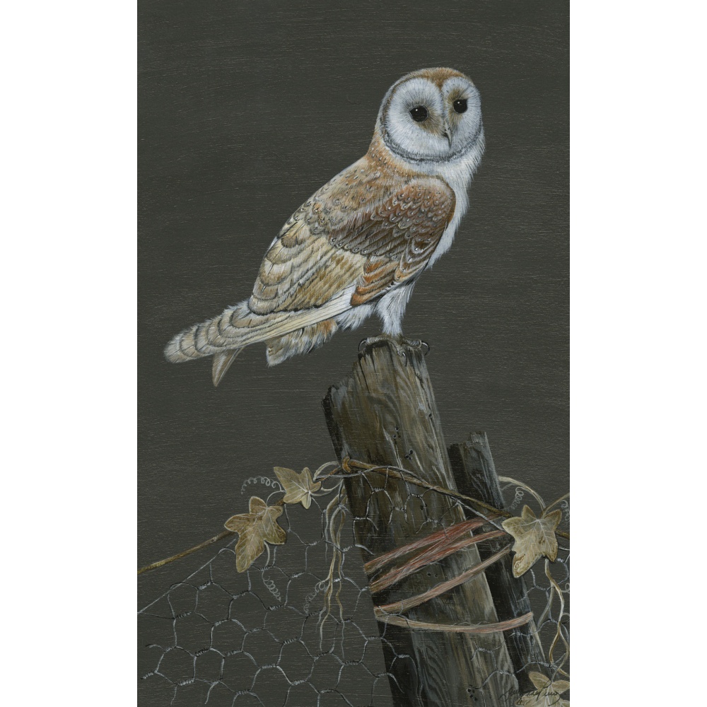 Barn Owl Original Acrylic Painting - Midnight Owl
