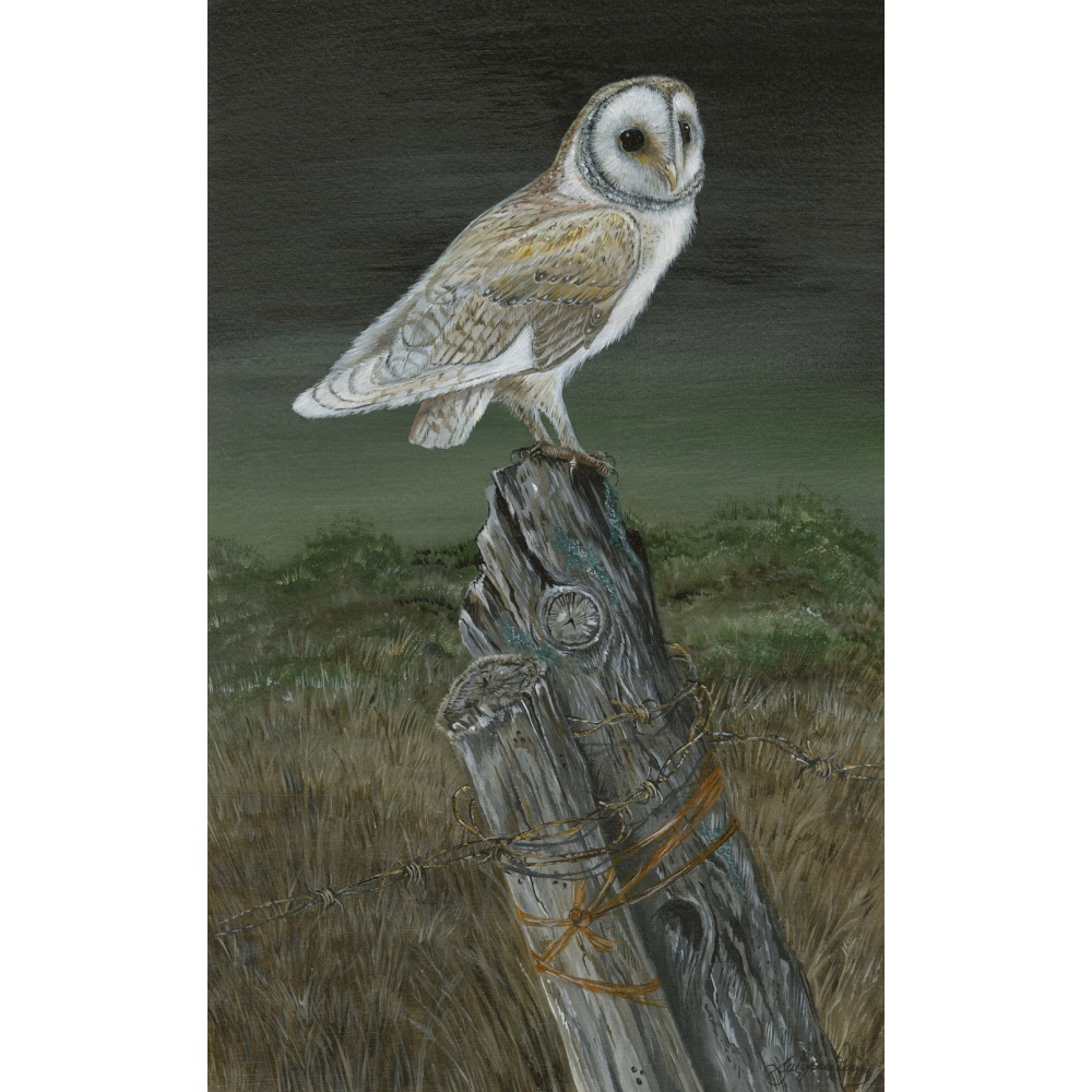 birds-of-prey-paintings-barn-owl-huntinmg-ghost-suzanne-perry-art-164