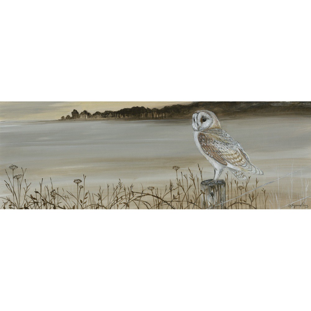 birds-of-prey-paintings-barn-owl-misty-morning-suzanne-perry-art-159
