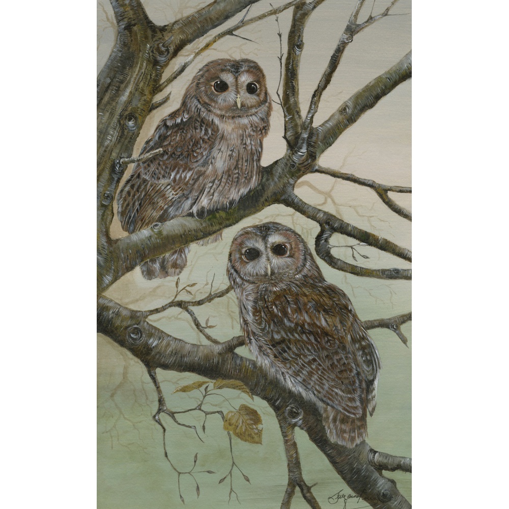birds-of-prey-paintings-tawny-owl-dib-dab-and-sherbert-suzanne-perry-art-139