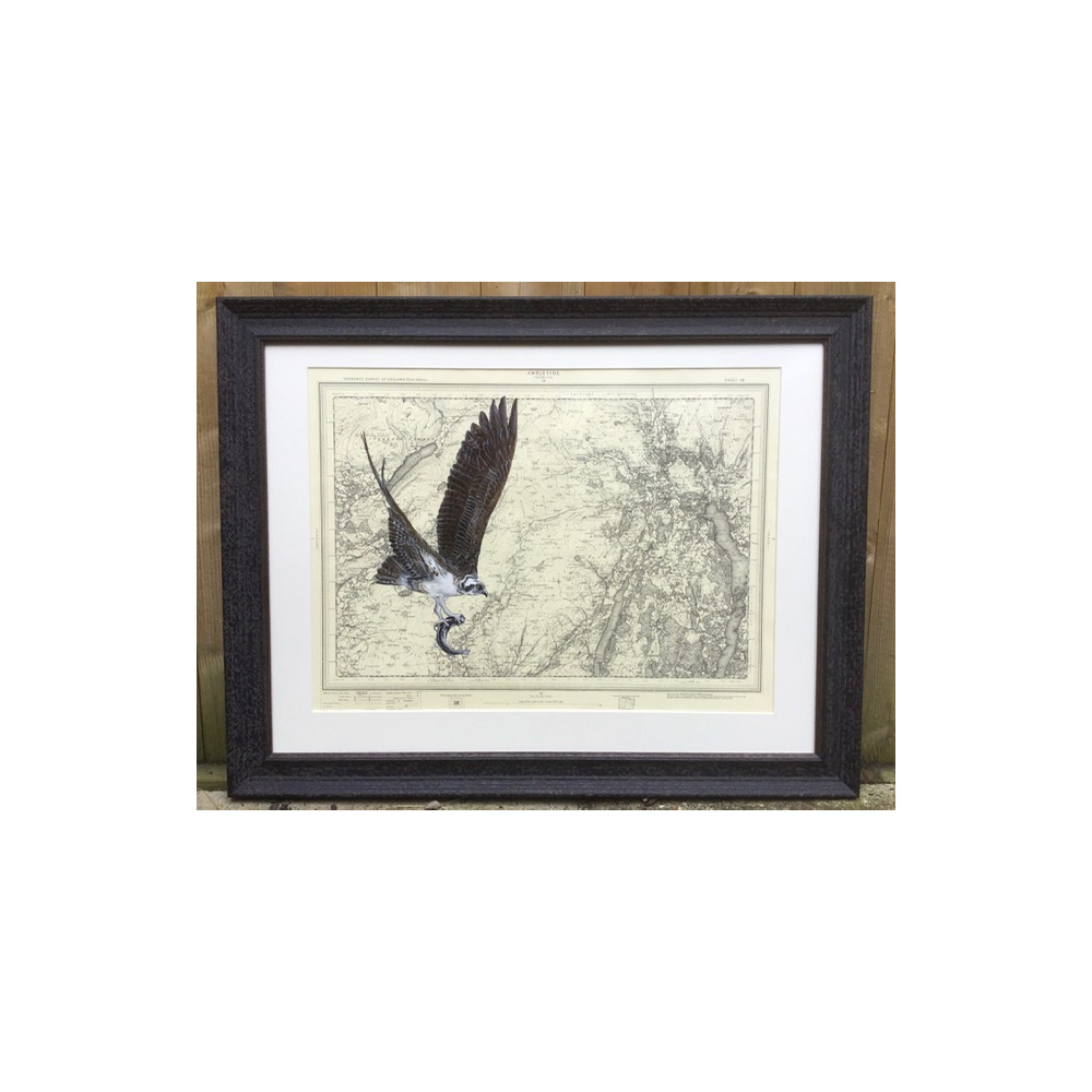 birds-osprey-map-lakes-suzanne-perry-art-m3