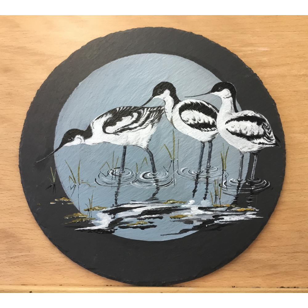 birds-slates-gifts-avocets-12-inch-a-suzanne-perry-art
