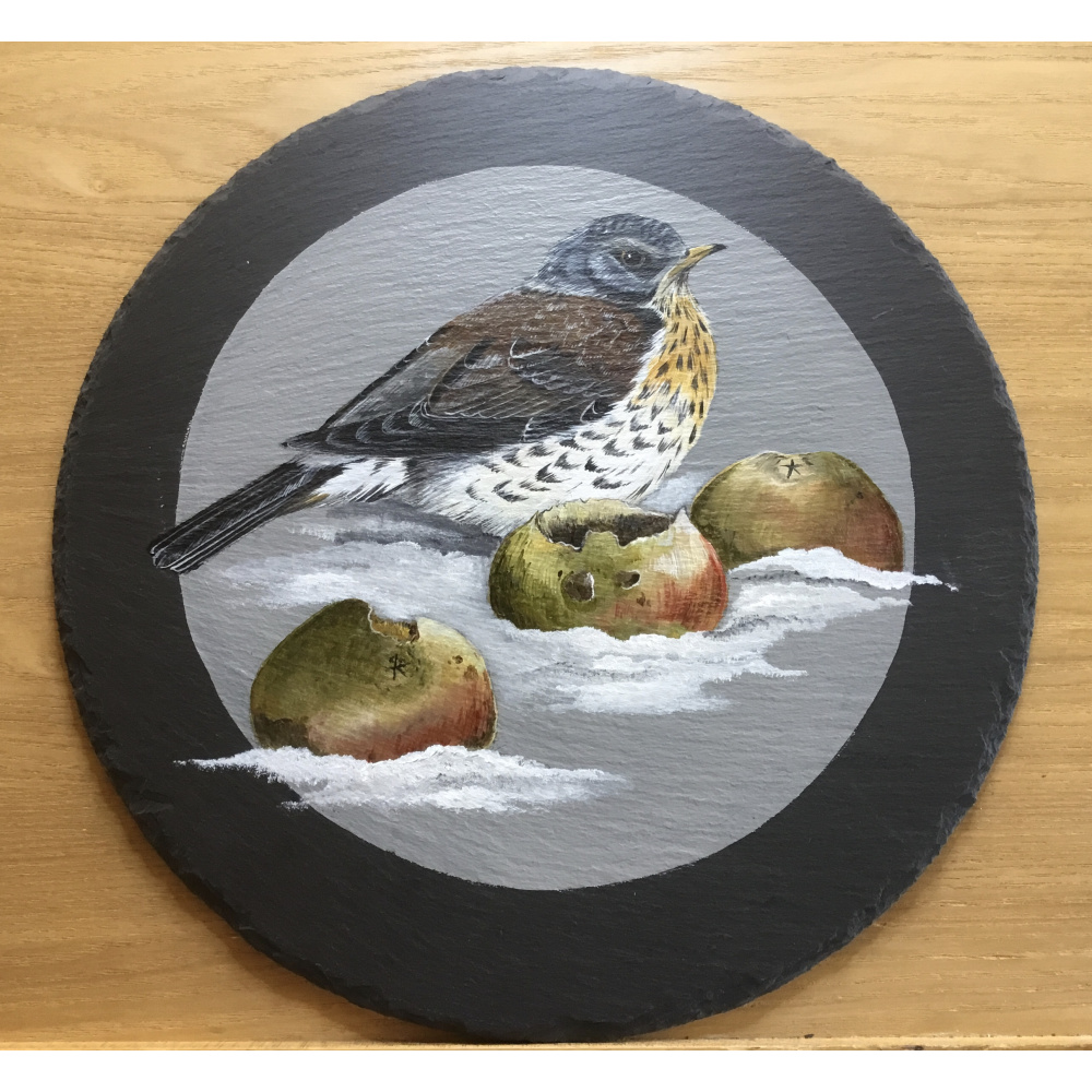 birds-slates-gifts-fieldfare-in-snow-12-inch-a-suzanne-perry-art