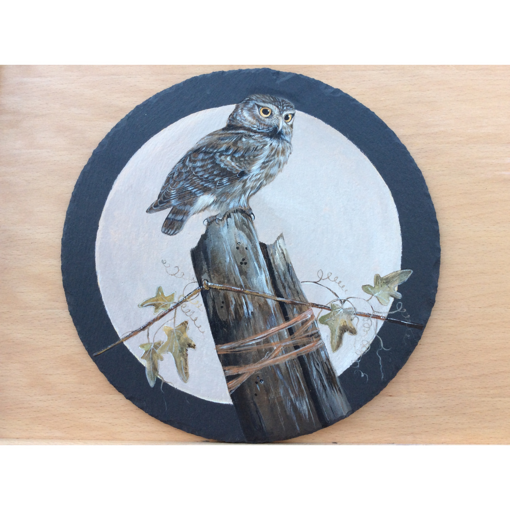 birds-slates-gifts-little-owl-12-inch-a-suzanne-perry-art