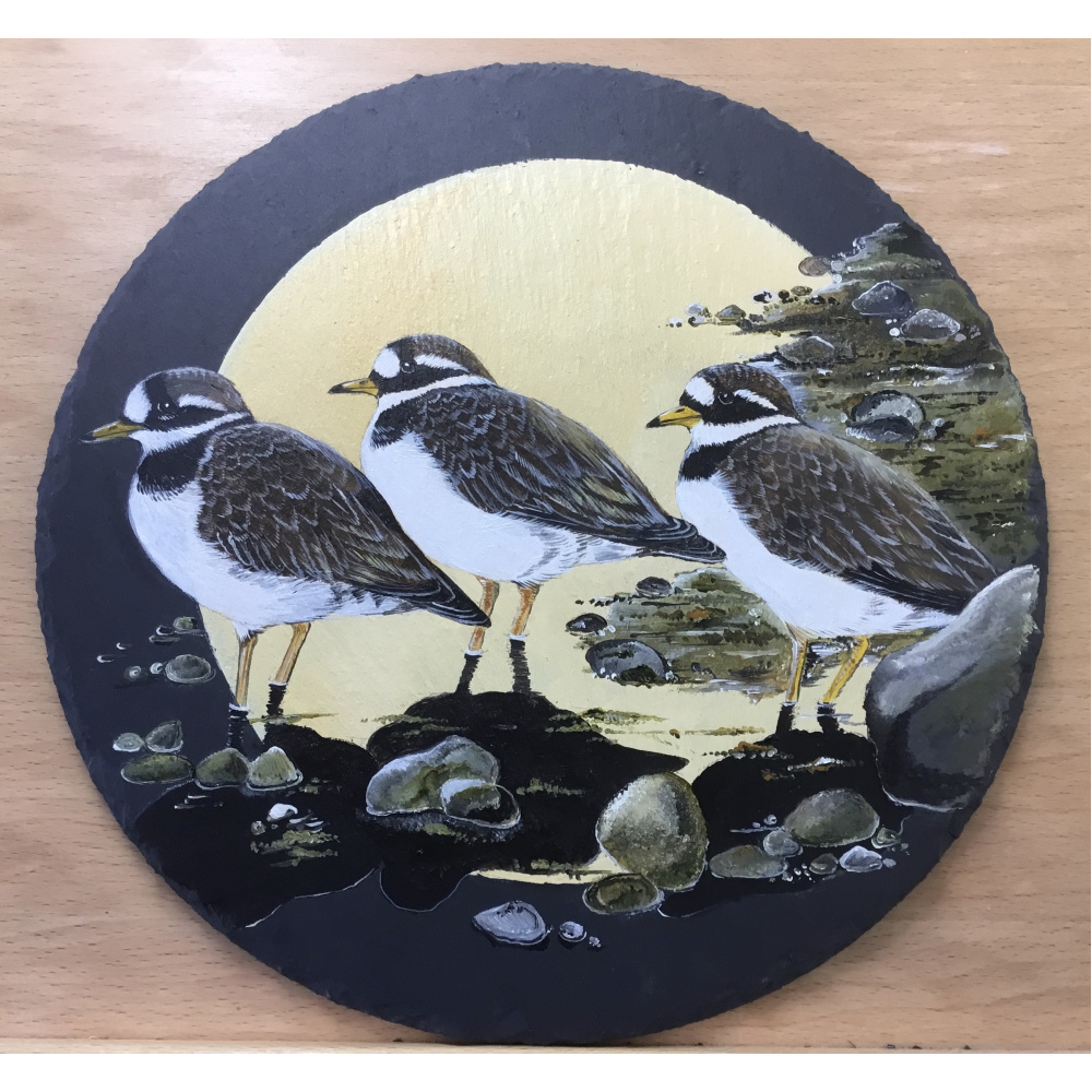 birds-slates-gifts-ringed-plovers-12-inch-a-suzanne-perry-art