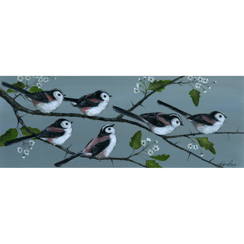 garden-birds-paintings-long-tailed-tits-in-hawthorn-suzanne-perry-art-276_381719730