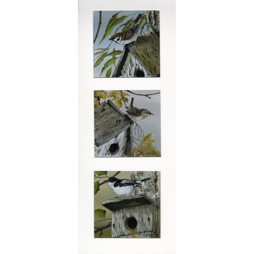 garden-birds-paintings-nesting-threes-suzanne-perry-art-275