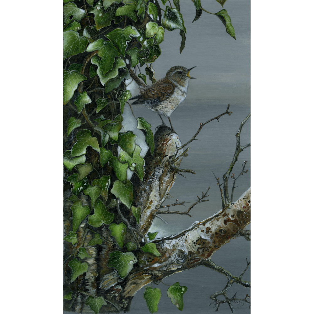 garden-birds-paintings-wren-going-solo-suzanne-perry-art-284_1054854401
