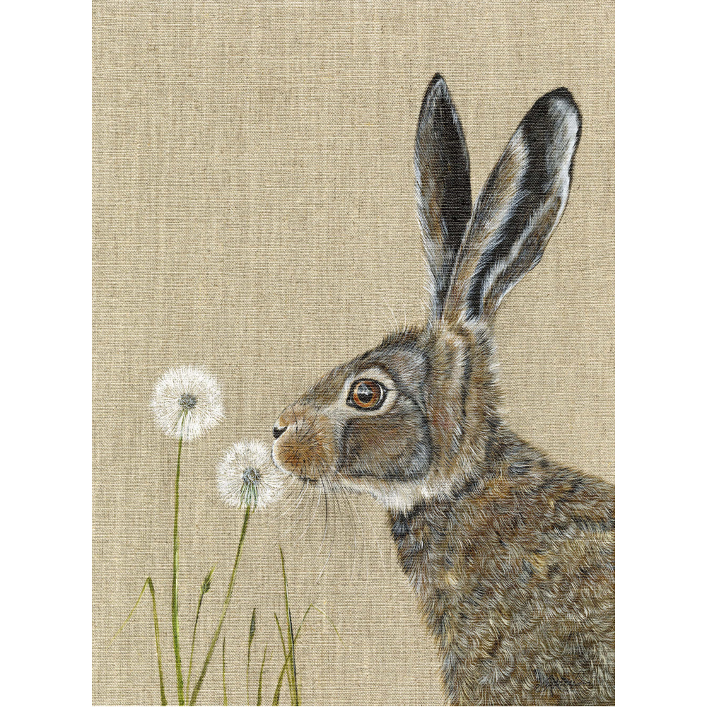 hare-dylan-canvas_website_1598571251