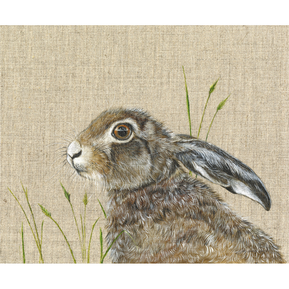 hare-violet-canvas_website_2126236750