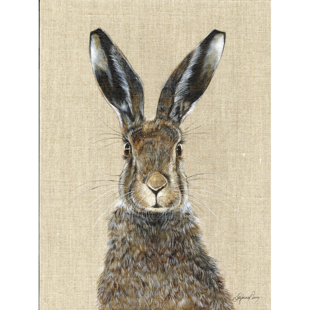 hare_-_george-canvas_website_1483859784