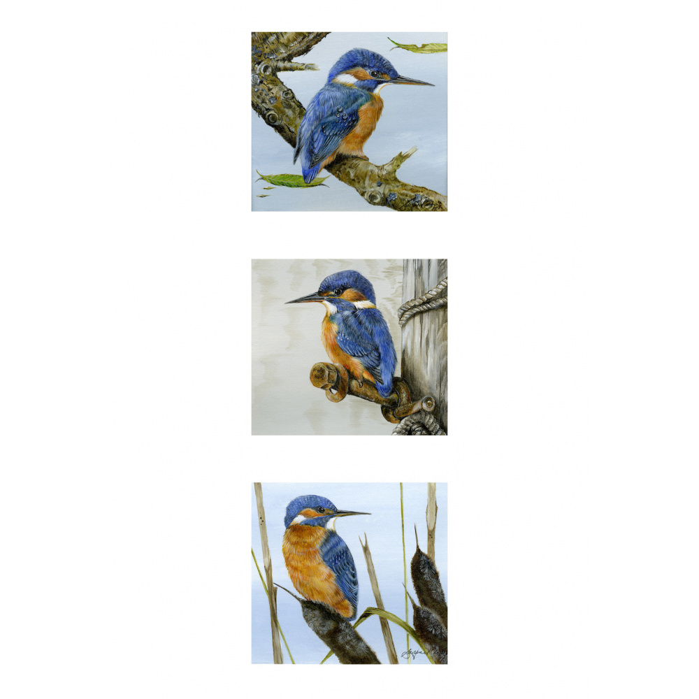 kingfishers-visiting-birds-three-ladies-in-waiting-suzanne-perry-art-229