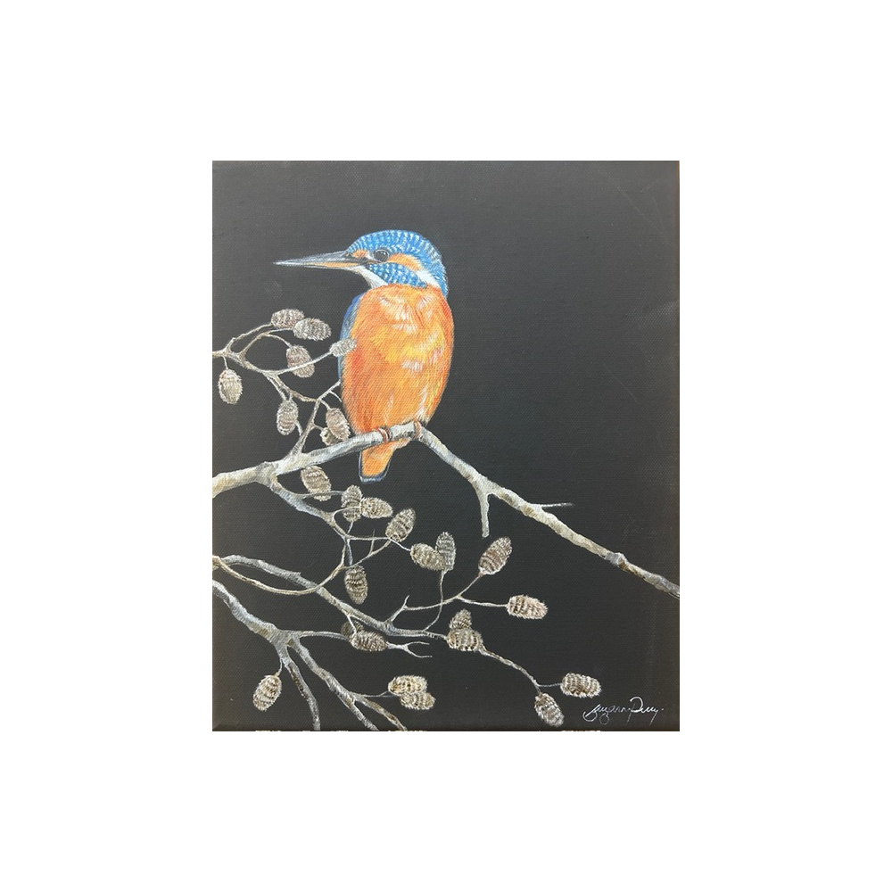sp_art_kingfisher_on_black_canvas