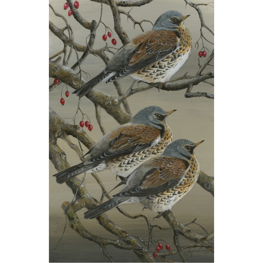 visiting-birds-paintings-fieldfares-autumn-jewels-suzanne-perry-art-208