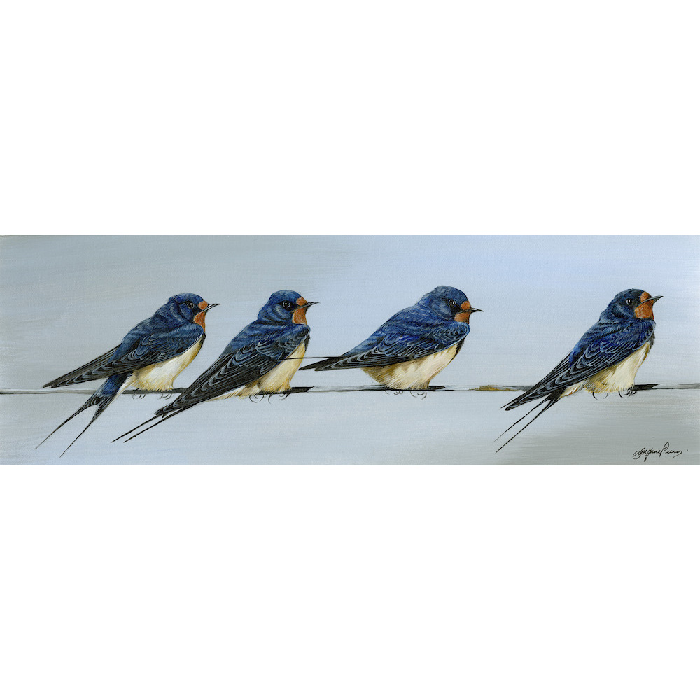 visiting-birds-paintings-swallows-summertime-suzanne-perry-242_1104581039