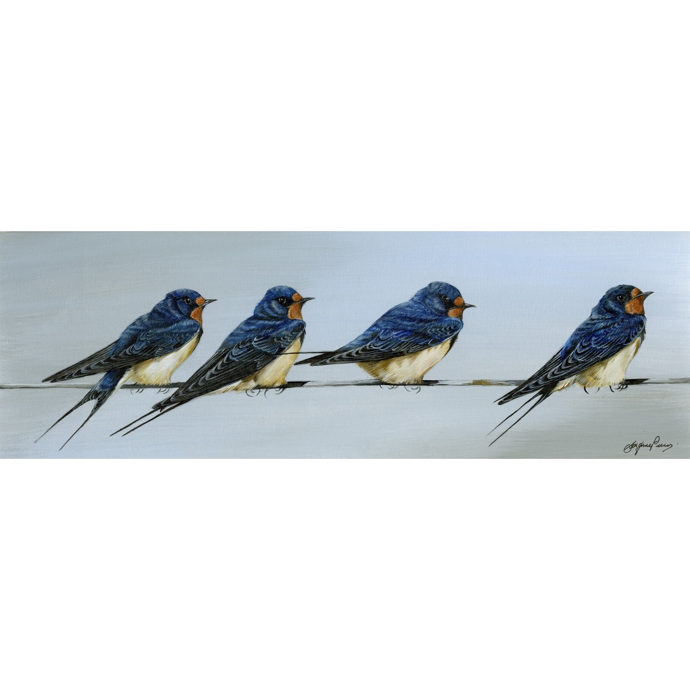 visiting-birds-paintings-swallows-summertime-suzanne-perry-242_1435773489