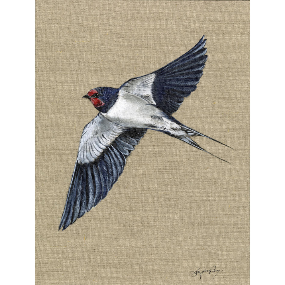 visiting-birds-swallow-enara-canvas-s-p-art-346-website_1924977439