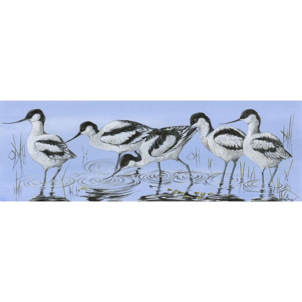 water-and-coastal-birds-paintings-avocets-visit-suzanne-perry-art-205