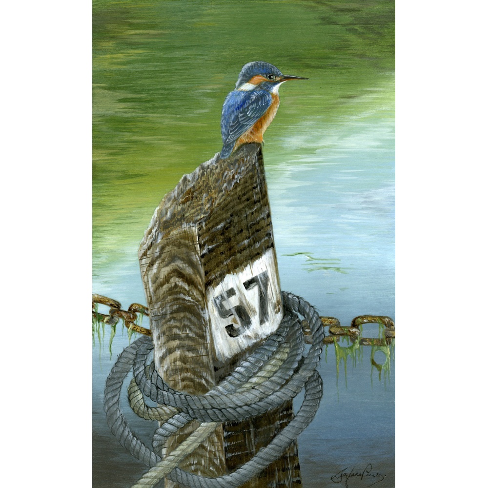 water-and-coastal-birds-paintings-kingfisher-fishermans-rest-suzanne-perry-art-112