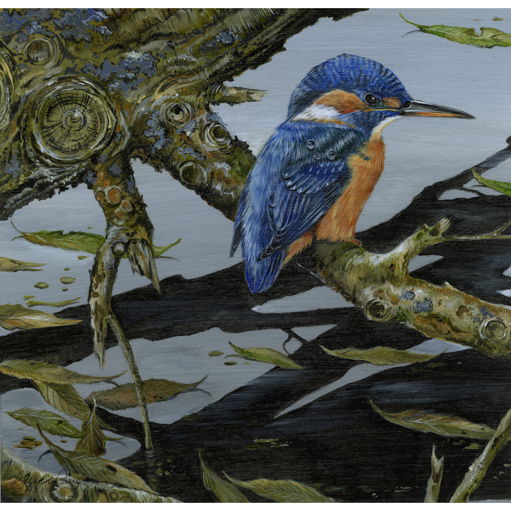 water-and-coastal-birds-paintings-kingfisher-riverside-reflection-suzanne-perry-art-281