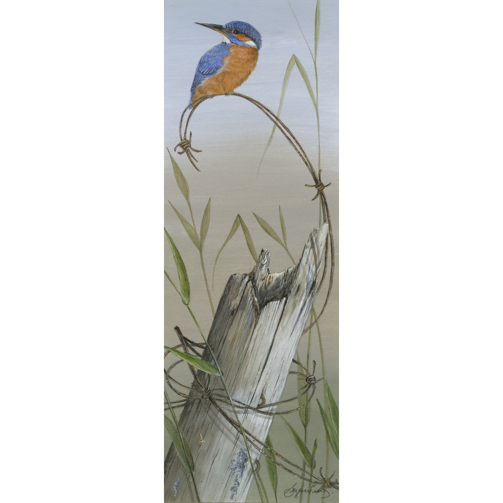 water-and-coastal-birds-paintings-kingfisher-tranquility-suzanne-perry-203